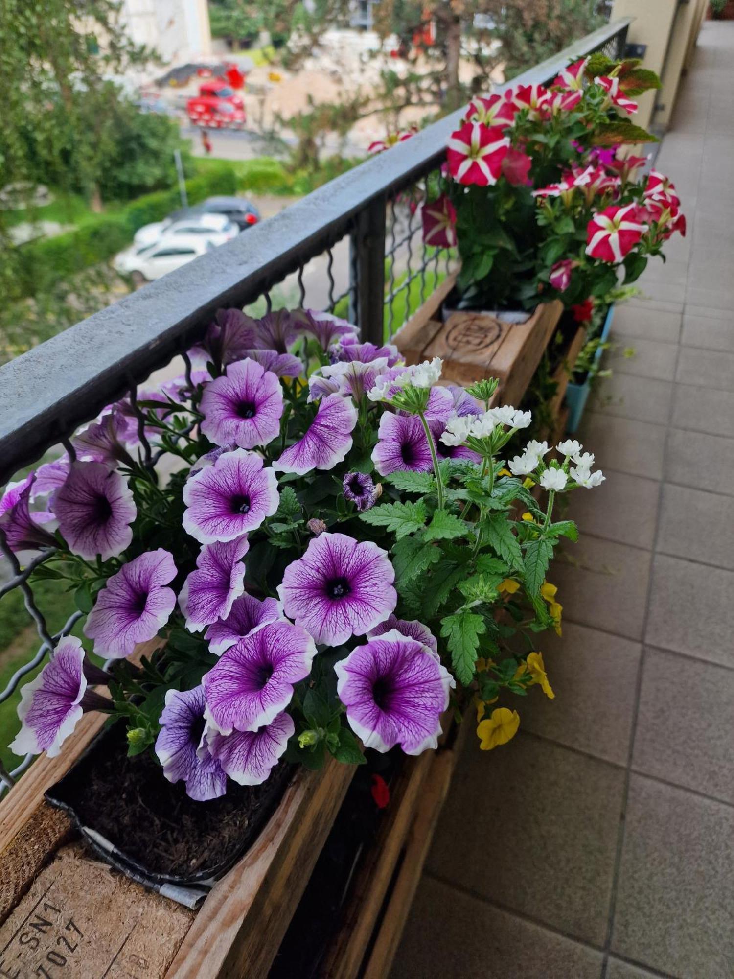 Doppelzimmer Bei Natur & Events 巴塞尔 外观 照片